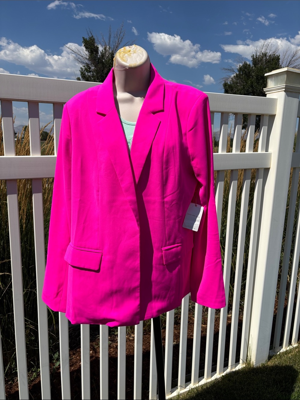 Skies are Blue Ultra Pink NWT Size L Blazef